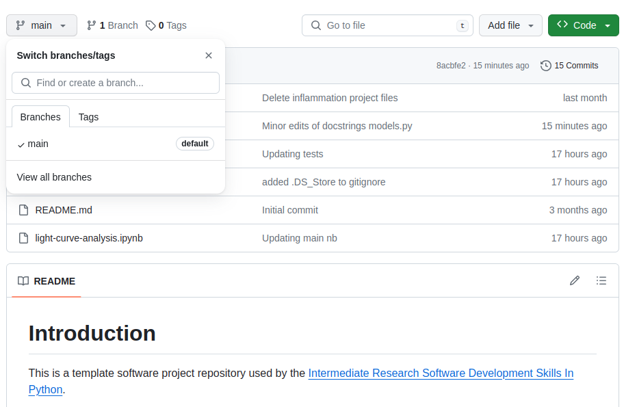 Software project's main branch