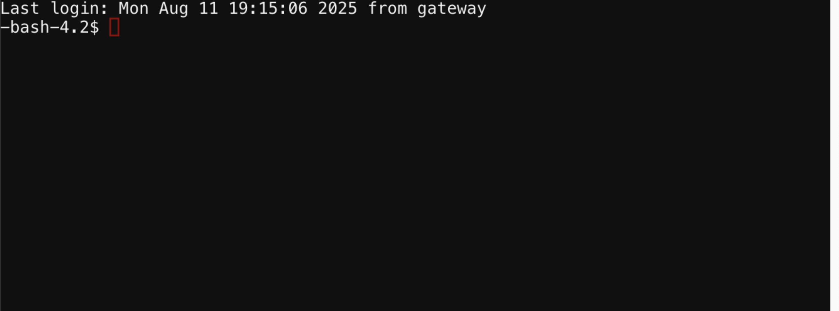 Bura web terminal session